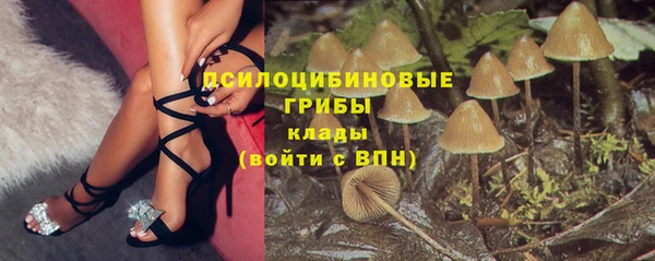 2c-b Абинск